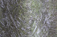 Upper Wolverton fibreglass roof work